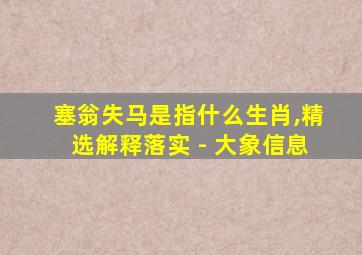 塞翁失马是指什么生肖,精选解释落实 - 大象信息